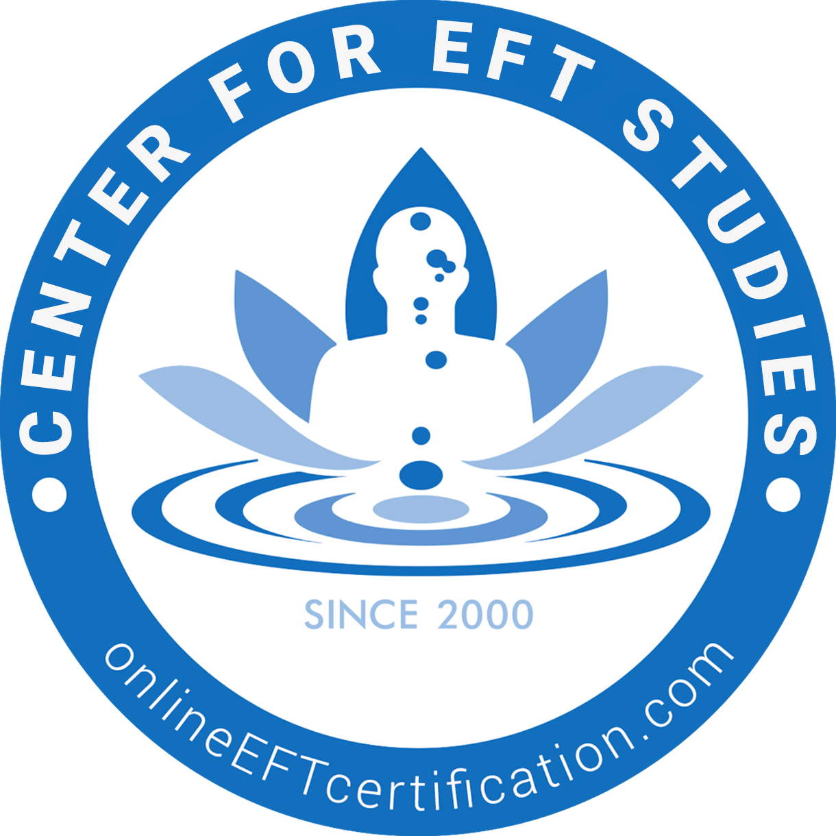 Center for EFT Studies Classroom